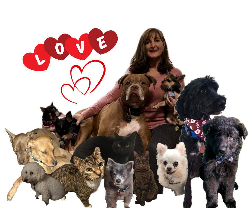 Me and my pet family