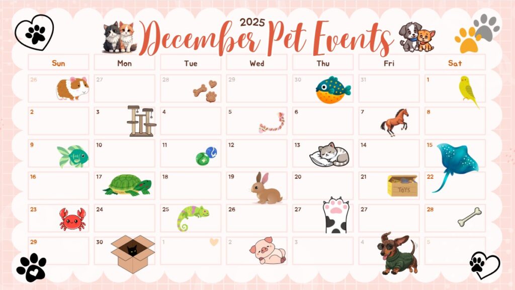 December Pet Event Calendar
