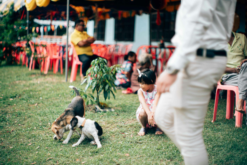 A lively outdoor scene with children and puppies playing on a grassy area in Mukdahan, Thailand, full of vibrant colors and life.