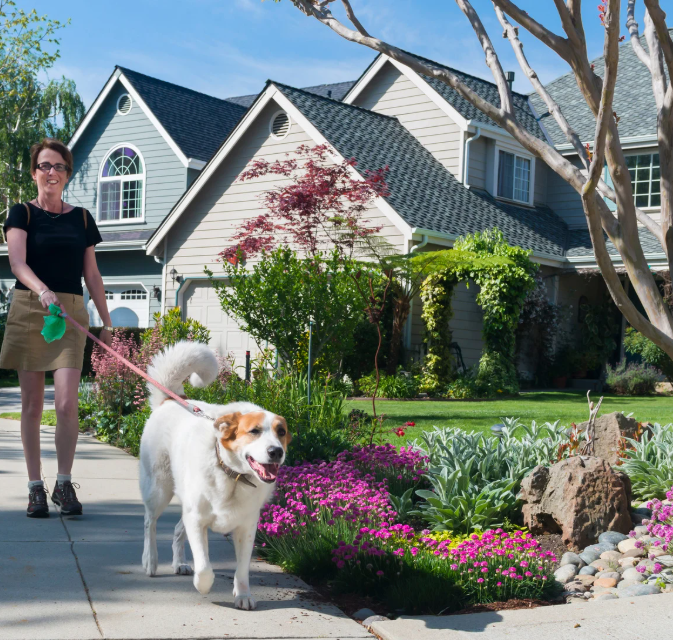 Dog friendly neighborhoods in SWFL
