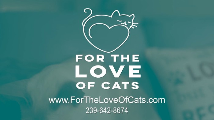 For The Love of Cats - Saving lives in Naples