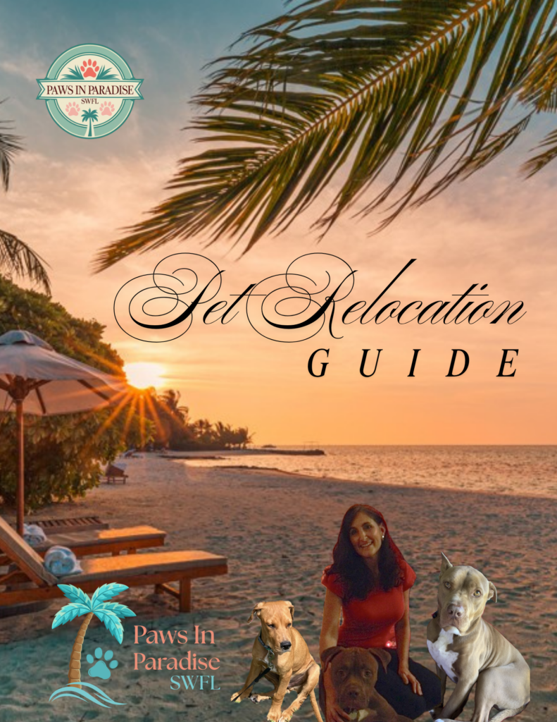 Pet Friendly Hotels Southwest Florida - New Video Series 4 20 1