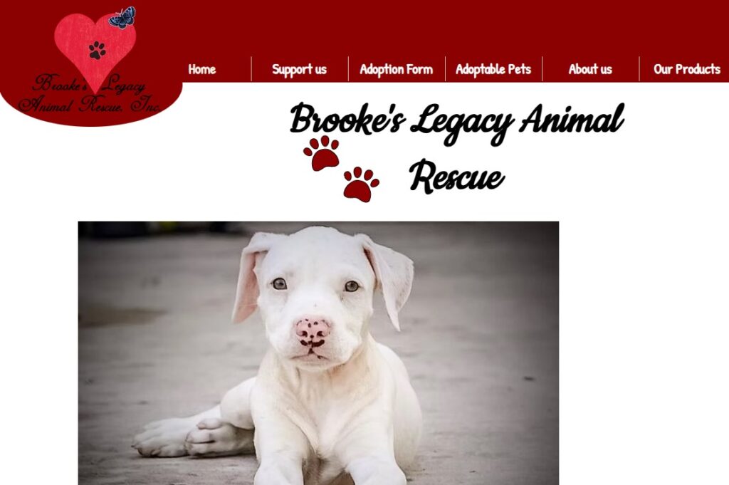 Brooke’s Legacy Animal Rescue Naples FL: A Story of Second Chances in Southwest Florida 2 Adoptable dog featured through Brooke's Legacy Animal Rescue Naples FL, a volunteer-run Naples Animal Rescue dedicated to giving rescue dogs and cats a second chance through loving foster homes and pet adoption in Southwest Florida.