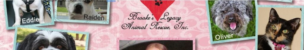 Brooke’s Legacy Animal Rescue Naples FL: A Story of Second Chances in Southwest Florida 5 Brookes Legacy YouTube Image