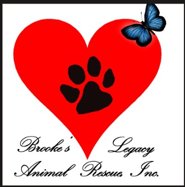 Brooke’s Legacy Animal Rescue Naples FL: A Story of Second Chances in Southwest Florida 3 Adoptable dog featured through Brooke's Legacy Animal Rescue Naples FL, a volunteer-run Naples Animal Rescue dedicated to giving rescue dogs and cats a second chance through loving foster homes and pet adoption in Southwest Florida.