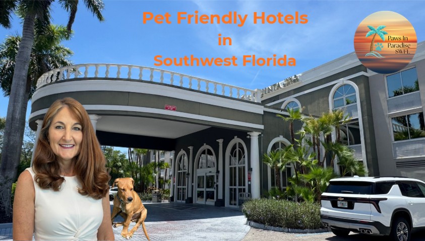 Pet Friendly Hotels Southwest Florida - New Video Series 2 Discover pet-friendly hotels in Southwest Florida with this video series by Karen Fowler of Paws In Paradise SWFL. Explore accommodations that welcome pets in Naples, Fort Myers, Bonita Springs, Cape Coral, and beyond.