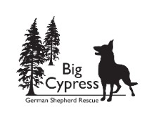 German Shepherd Rescue Southwest Florida