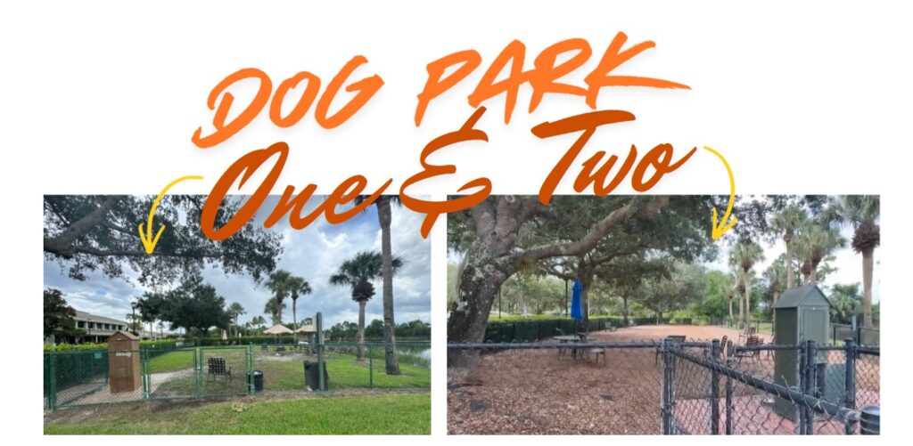 Dog Park