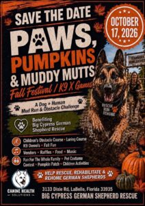 Big Cypress German Shepherd Rescue Paws, Pumpkins & Muddy Mutts Fundraiser on October 17, 2026 in LaBelle Florida.