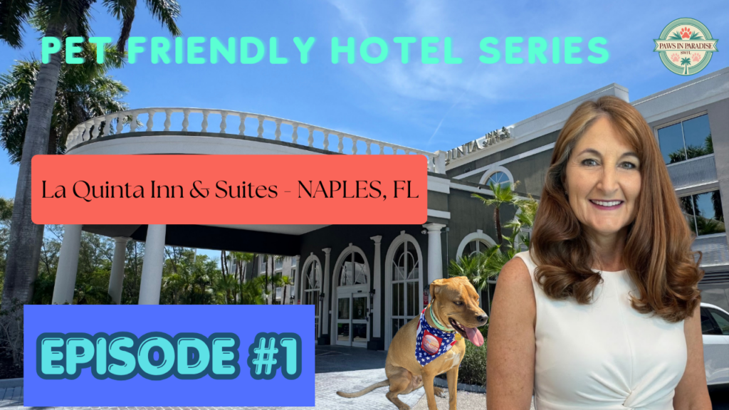 Pet Friendly Hotel in Naples Florida.