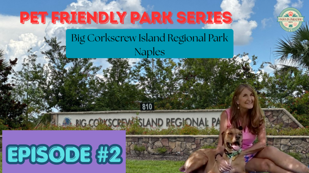 Big Corkscrew Island Regional Park, Pet Friendly Parks in Southwest Florida.